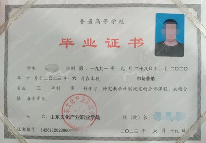 山东文化产业职业学院2003年普通全日制专科毕业证书样本图片（市场营销）